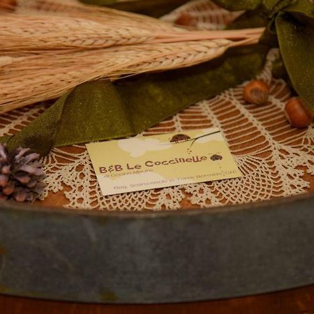 Torre Bormida B&B Le Coccinelle מראה חיצוני תמונה