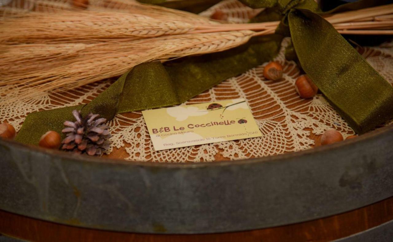 Torre Bormida B&B Le Coccinelle מראה חיצוני תמונה